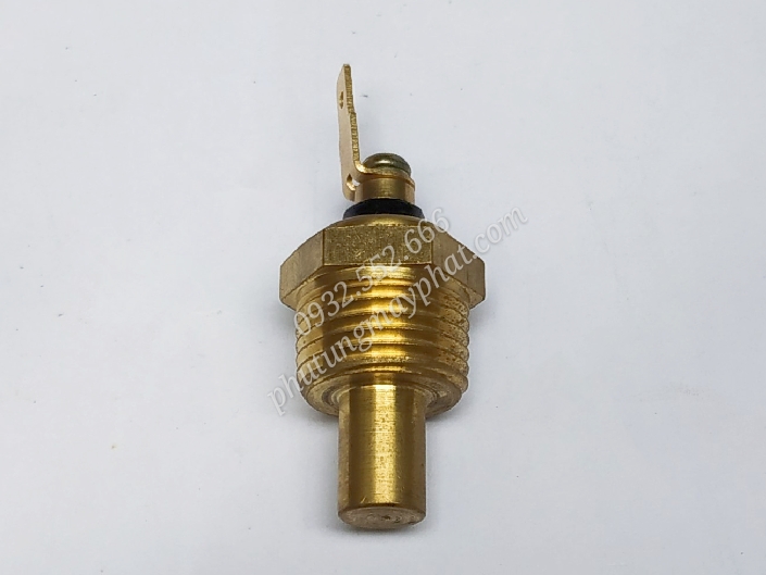 Cảm biến nhiệt độ nước 3/8NPT